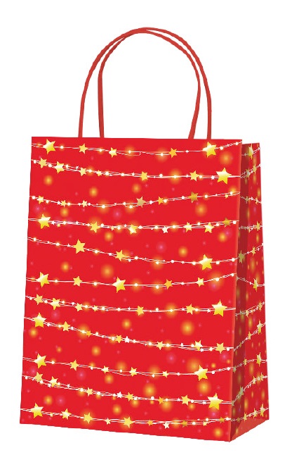 Darčeková taška vianočná EKO 505 100 - E2