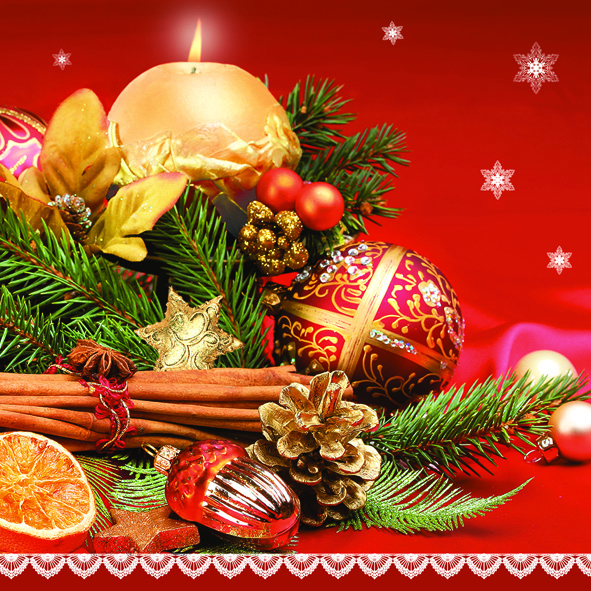 Vianočné servítky DAISY 5201