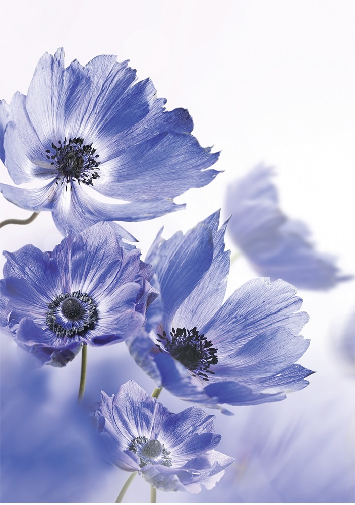 Karta do obálky 200002 PS24 R5