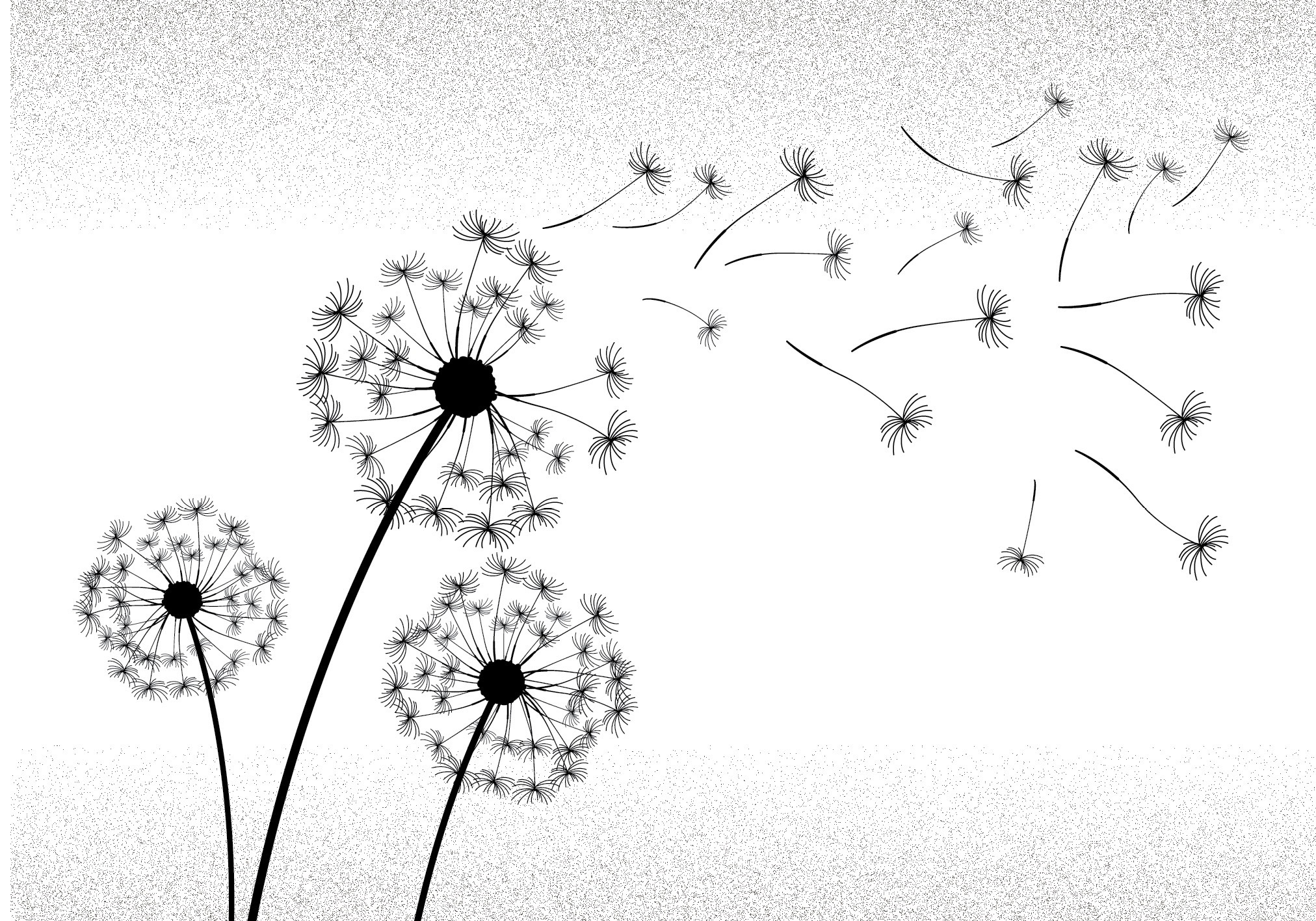 Karta do obálky 200002 PS19 SO3