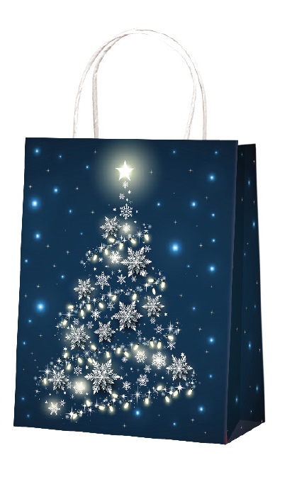 Darčeková taška vianočná EKO 505 100 - E4