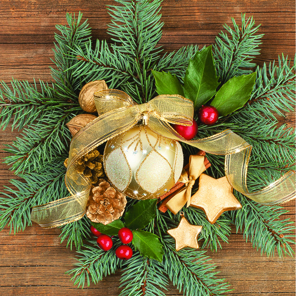 Vianočné servítky DAISY 15401