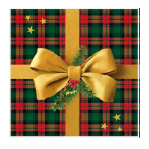 Vianočné servítky DAISY 24501