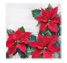 Vianočné servítky DAISY 24401