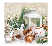 Vianočné servítky DAISY 23701