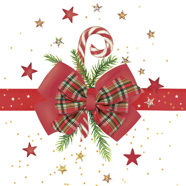 Vianočné servítky DAISY 22001